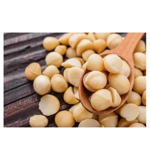 Macadamia nuts Wholesale Seller Best quality Bulk Quantity Wholesale rate