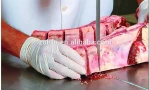 meat bone cutter for sale animal bone crusher meat bowl cutter