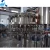 millet beer/rice wines/quas drink production line/packing machine