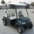 Import Mini golf cart electric 2 seater golf cart rear axle cart from China