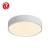 Import Modern hotel restaurant decorative surface mount acrylic ceiling light from China