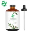 Natural Plant Extract Organic eucalyptus oil for gum confection making