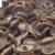 Import New Arrival   Cast Iron Iron Scrap 99% Pure Scrap ** from Uganda