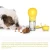 Import New Arrival Plastic Portable Pet Bottle Water Dispenser Outdoor Use Dog Water Bowl With Food Container Dog Water Bottle from China