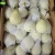 Import new crop thailand fruit farm ya pear from China