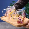 New double wall dry flower handle double wall glass bottle beer glass cup