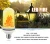 New Product of Flickering flame LED bulb, Fake flame effect LED light for decoration lighting