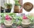 Import Nordic flowerpot Hand Woven Decorative Storage Basket Indoor Plant Flower Pot Belly Seagrass Basket Potted plant basket from China