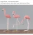 Import Nordic Ins Flamingo Resin Decoration Living Room Bedroom Pink Girl Heart Birthday Gift Resin Moderns Home Decor from China