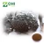Import Organic Anti-cancer Chaga Mushroom Extract from China