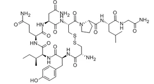 Oxtocin CAS No . 50-56-6 Oxytocin Acetate