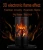 Import Pagoda Infrared Fireplace Heater Electric Fireplace Heater with 3D Flame Effect Adjustable Flame Brightness  Electric Wood Stove from China