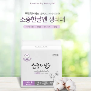 Panty liner Biodegradable and Breathable Sanitary Napkin, Menstrual Pad, Sanitary pad made in Korea