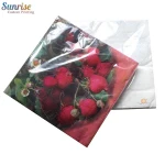 Paper dinner napkin logo printed paper serviettes
