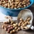 Import Peanut  Groundnut , peanut , Raw shelled peanuts from Germany