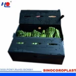 Polypropylene Plastic Corrugated Box