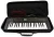 Import Portable custom logo good quality music piano EVA keyboard instrument plastic hard shell carrying zipper travel case bag from China