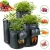 Import Potato Grow Bag PE Vegetable Onion Plant Bag with Handle Thickened Garden Carrot Taro Peanut Backyard Growing Bag from China