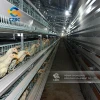 poultry equipment quail/pigeons/rabbit/chicken cages