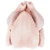 Import Premium Cheap Halal whole frozen chicken and part from China