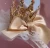 Import PRETTY Infant Child Hair Band Three-dimensional Alloy Rhinestone Crown Headdress Baby Girl Fairy Elastic Headband Turban from China