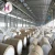 Import prices 1060 H24 sheet metal roll aluminium coil from China