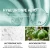 Import Private Label Winter Girls Hand Cream Lotion Hand Cream For Christmas Moisturizing And Soothing Festival Hand Cream from China