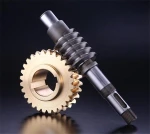 Professional Worm Gear manufacturer