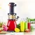 Quiet motor ,cold press fruit and vegetable juice Slow masticating juicer extractor