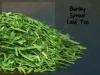 Reasonable Price Organic Barley Grass Sprout Leaf Tea in Bulk
