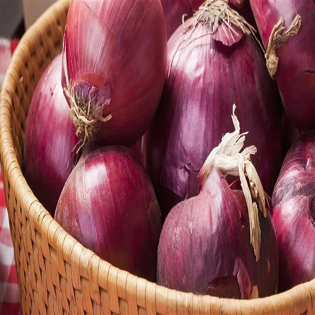 Red onion fresh in bulk with best price
