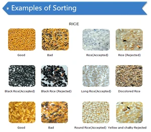 Rice Processing machinery Rice Color Sorter