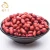 Import Rich in  protein Rich organic protein Kernel Raw Peanuts Kernel Peanut from China