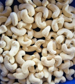 Roasted &amp; Salted Cashew Nut Size W180 W240 W320 W450