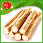 Root and Stem vegetables Chinese Fresh Burdock