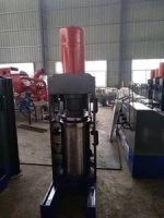 Single barrel almond sunflower Oil presser Hydraulic almond oil press
