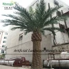 SJT002 Festive & Party supplies artificial date palm tree , guangzhou making artificial date palm tree