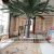 Import SJT002 Festive & Party supplies artificial date palm tree , guangzhou making artificial date palm tree from China