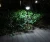 Import Solar Lights Outdoor Pathway Decorative Garden Stake Light ,Waterproof LED Lights For Garden, Landscape, Path, Walkway from China