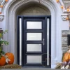 South Africa Factory Custom Modern Front Entry Entrance Wrought Iron Accordion Door