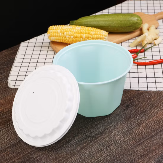 520ml Plastic Food Storage Containers with Lids - &nbsp; Meal Prep Bowls Disposable Food Containers/Storage Box