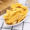 Special Hot Selling Air Dried Mango Slices Healthy Freeze Dried Mango
