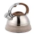 Stainless Steel Whistling Tea Water Kettle with Color Coating