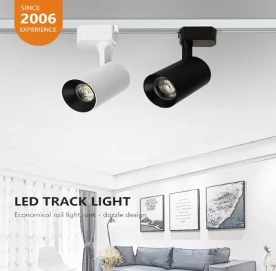 Stylish and Modern for Contemporary Spaces 10W LED Track Lighting
