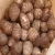 Import Taro Root New Crop Fresh Taro Export Price 7kg/mesh bag from Germany