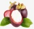 Import The Fresh Mangosteen and natural fruit from Philippines