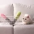 Import The new dog grinding stick sounds resistant to biting pet toys two-color plush sound dog toys from China