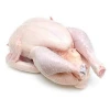 Top quality frozen chicken for sale