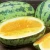 Import TOP SELLING FRESH DESERT KING WATERMELON - WHOLESALE PRICE TYPE 1 from China