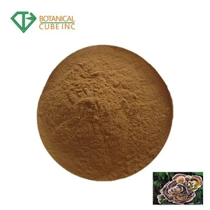 Trametes versicolor extract 30% polysaccharides turkey tail extract